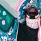 BAAGL SET 3 Zippy Baby Koala: aktovka, penl, se
