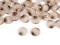 Knoflk velikost 28, 32, 40 - 1 (28&quot;) bov svtl, 50 ks