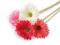 Umělá gerbera dlouhá