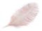 Pštrosí peří délka 60 cm - 10 pudrová, 1 ks