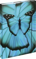 BAAGL Desky na školní sešity A4 Butterfly