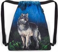 Bagmaster SÁČEK LUMI 24 F školní na přezůvky / tělocvik – vlk