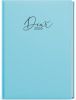 Denní diář - David - Pastel - A5 - modrá