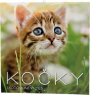 Nástěnný kalendář - Kočky - zvětšit obrázek