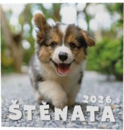 Nástěnný kalendář - Štěňata - zvětšit obrázek