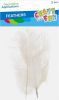 Peříčka bílá 15-20cm