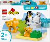 LEGO DUPLO Rodinky divokých zvířat: Tučňáci a lvi 10442 STAVEBNICE