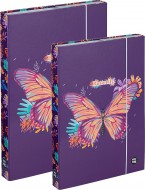 Box A4+A5 Motýl