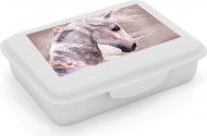 Box na svačinu s přihrádkou kůň romantic
