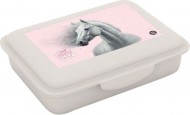 Box na svačinu s přihrádkou kůň romantic