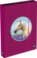 Box na sešity A4 Jumbo OXY Sherpy Pink