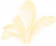 Peří 10g krémové