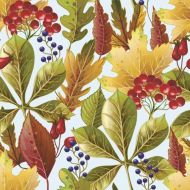 Ubrousky Daisy - Forest leaves - SDOG 0298 01 