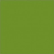 Ubrousky DUNISOFT Leaf Green, 40x40cm