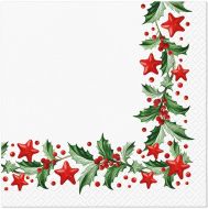 Ubrousky vánoční - Cesmína a hvězdy, TL234600 - zvětšit obrázek