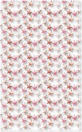 Sáček transparent potisk 250x400