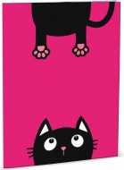 Desky na abecedu Crazy Kitten - zvětšit obrázek