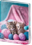 Památník A5 13 x 18 cm čistý Babes