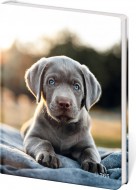 Památník A5 13 x 18 cm čistý Pup