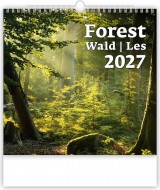 Nástěnný kalendář Forest - Les