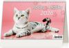 Kalendář Kočky