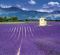 Kalendář Provence - vázanka