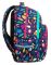 Studentský batoh Basic Plus 17 Lady Color