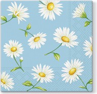 Ubrousky PAW TETE L (20ks) Daisy