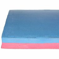 Červeno-modré puzzle modulové tatami Champion - 100 x 100 x 4 cm