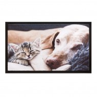 Vnitřní čistící vstupní rohož FLOMA Image Kitten - délka 40 cm a šířka 60 cm - zvětšit obrázek