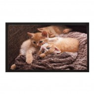 Vnitřní čistící vstupní rohož FLOMA Image Cats - délka 40 cm a šířka 60 cm - zvětšit obrázek