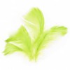 Peří - světle zelené 10g