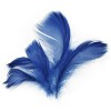 Peří - tm. modré 10g
