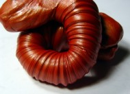 Inteligentní plastelina - měňavková - láva - zvětšit obrázek