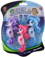 Potápění - mořští koníci