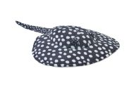 Rejnok puntíkatý plyšový 25cm