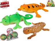 Jungle Expedition - Ještěrka strečová měnící barvu