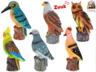 Pták 17-20cm na baterie se zvukem, 6 druhů