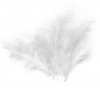 Peříčka bílá 16 cm