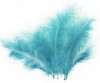 Peříčka tyrkysová 16 cm