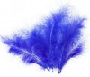 Peří - 5 ks královsky modrá 16 cm