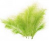 Peří - sv. zelené 16 cm