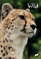Školní sešit divoká příroda, A4, linka, 40listů