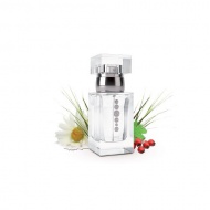 Pánský parfém Essens 50ml m008