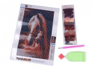 Diamantové malování 20x30 cm 3 viz foto kůň, 1 sada - zvětšit obrázek