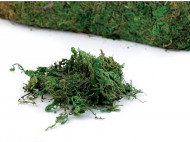 Dekorační přírodní mech 450 g