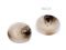 Knoflk velikost 28, 32, 40