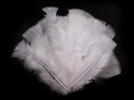 Krůtí peří délka 11-17 cm 1 bílá, 1 sáček - zvětšit obrázek