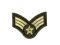 Nažehlovačka army