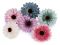 Umělý květ gerbera 80 mm